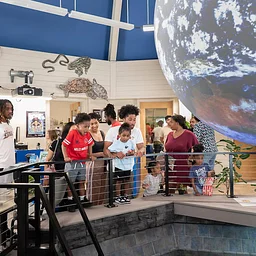Nature Knowledge: Ages 11-14