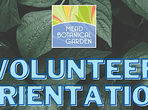 Volunteer Orientation