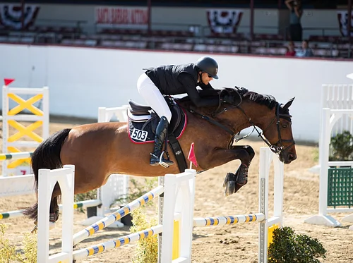 Santa Barbara National Horse Show