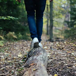 Seasons on the Land: Monthly Walks at Crown Point