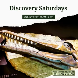 Discovery Saturdays