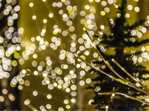 Christmas at Aldie 2026