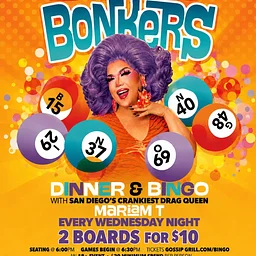 Bingo Gone Bonkers