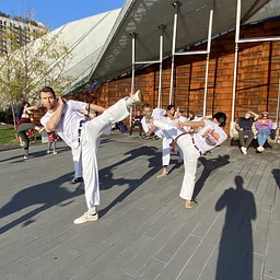Intro to Capoeira Series