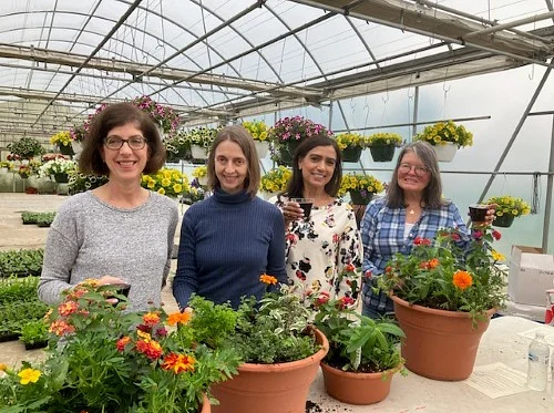 Sips & Make Your Own Planter Night