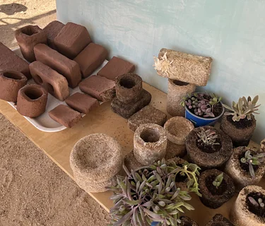 Research Spotlight: Building with Fungi