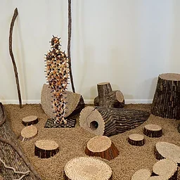George Lorio: Concerns - Public Reception