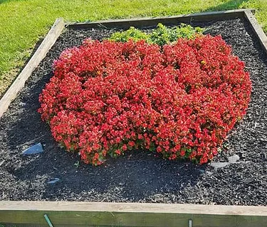 Community Open House