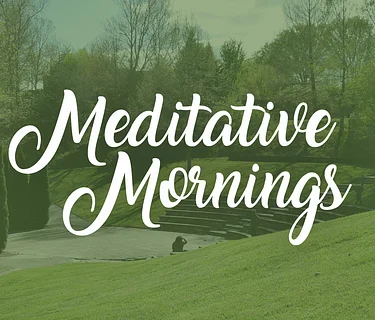 Meditative Morning