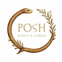Pop-Up: Posh Plants & Curios (July)