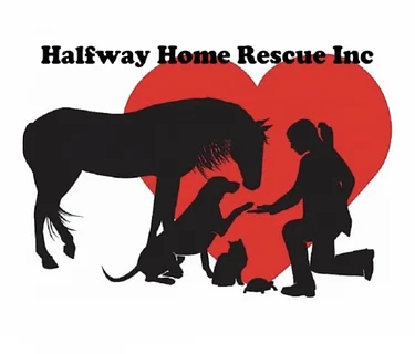 Halfway Home Rescue at Woodbridge Town Green, Woodbridge