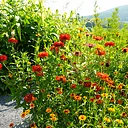 Garden Day