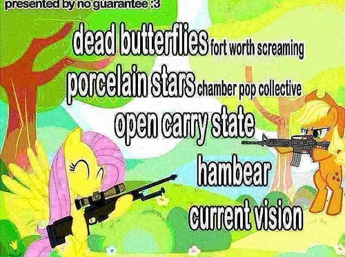 SOLD OUT - Dead Butterflies, Porcelain Stars, Open Carry State, Hambear, Current Vision