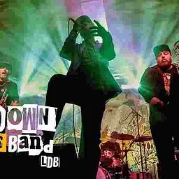 LowDown Brass Band with Something To Do