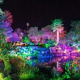 Johnsonville Night Lights in the Garden