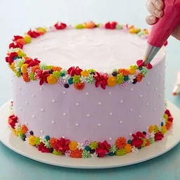 Beginner Cake Decorating