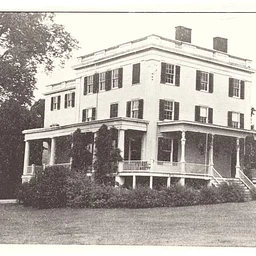The Moreno Institute