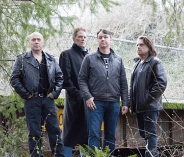 Summer Concert Series: Live Music by Vertigo Zoo