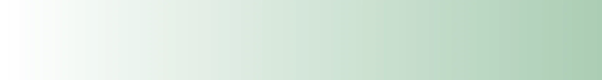 Palm Beach Road Runners