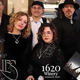 Little Lies: Fleetwood Mac Tribute Band (Plymouth)