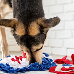 Snuffle Mat Workshop