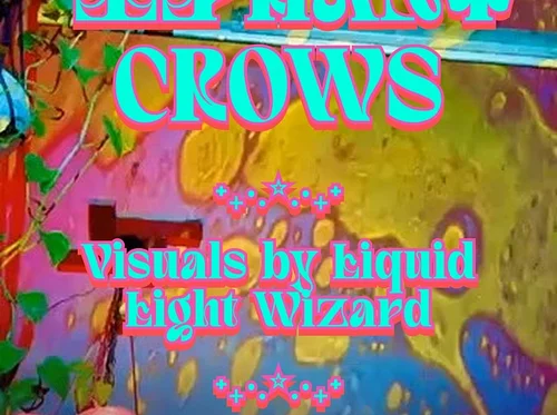 Accendino & Elephant Crows Live Music