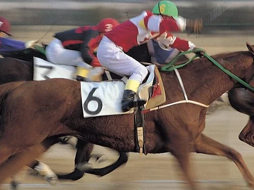 Oneida County Horse Races