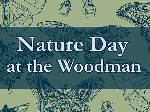 Nature Day at The Woodman