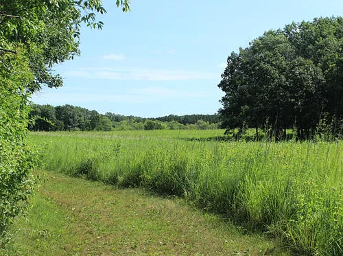 Morning Prairie Walk