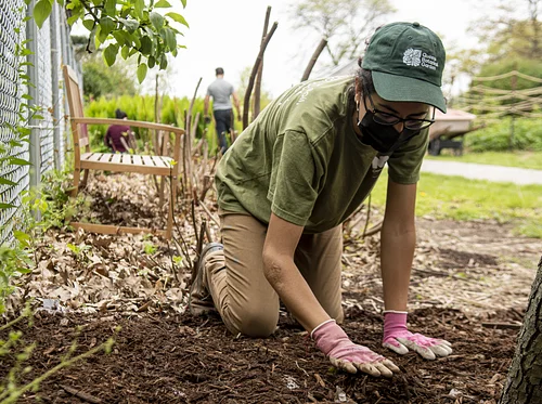 Compost Beautification Community Volunteer Days