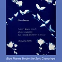 Weekend Workshop: Blue Poems Under the Sun: Cyanotype Printmaking