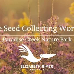Native Seed Collecting Workshop