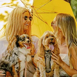 https://fwbg.org/full-calendar/dog-days-december-2026/