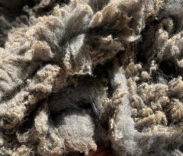 From Wool to Waulking with Anastatia Spicer