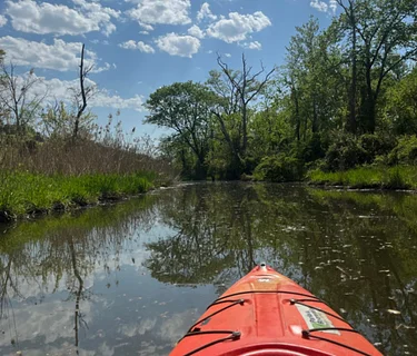 Black Birders Week: Evening Kayak Tour