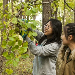 Invasive Plant Management Volunteer Workday – Churchill Valley Greenway