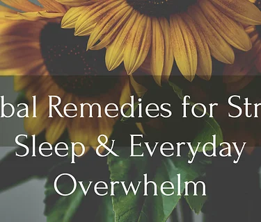 Herbal Remedies for Stress, Sleep & Everyday Overwhelm Workshop