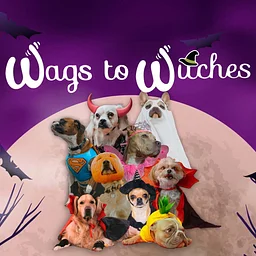Wags To Witches