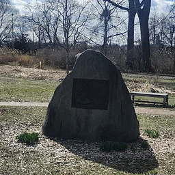 Read the Rocks!