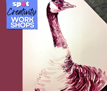 Class: Bird Illustration & Anatomy (2 day class)