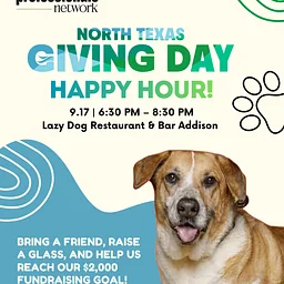Professionals Network North Texas Giving Day Happy Hour