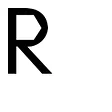 The Renaissance Society