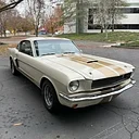 The Cobra Experience logo