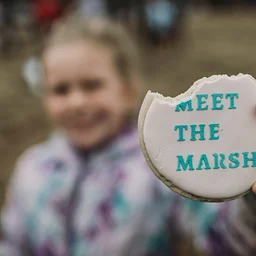 Meet the Marsh