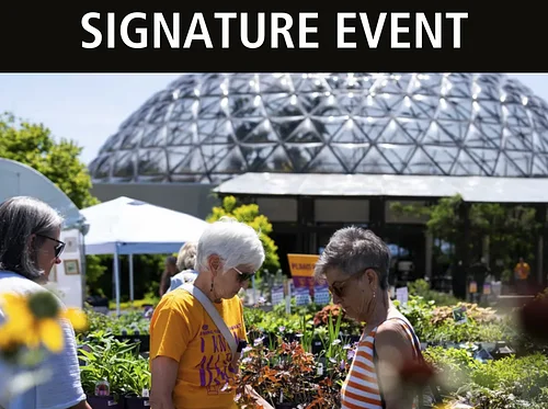 Spring Garden Market Sunday