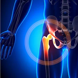 Hip Mobility & Stability