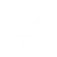 Divided Vine