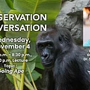 Conservation Conversation: Going Ape