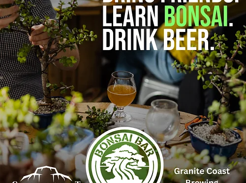 Bonsai Bar