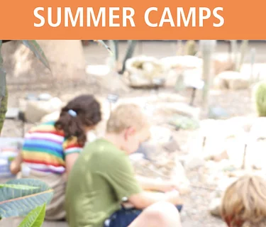 Garden Artists Summer Camp 7.27-7.31